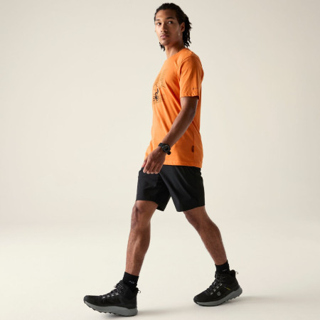 Чоловічі шорти Dare 2b Torrek Lite Short