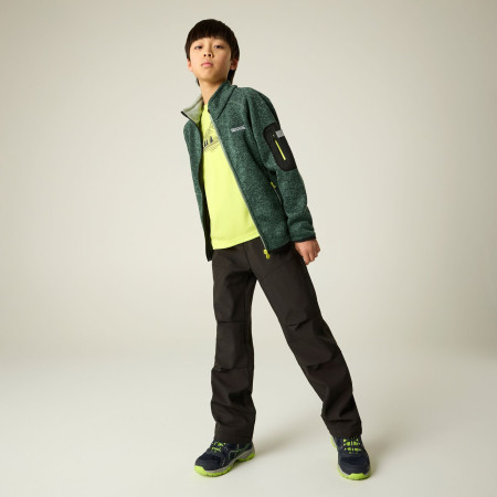 Дитяча толстовка Regatta Junior Newhill DrkForGlacGr