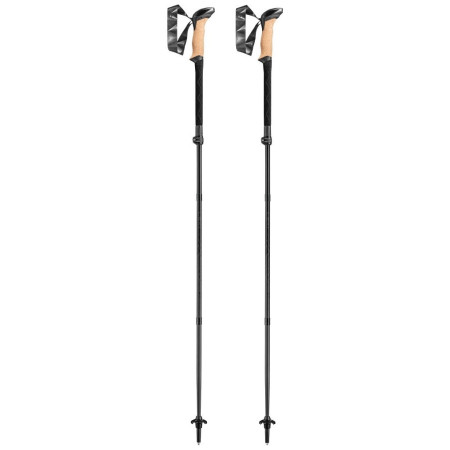 Трекінгові палиці Leki Black Series FX Carbon чорний