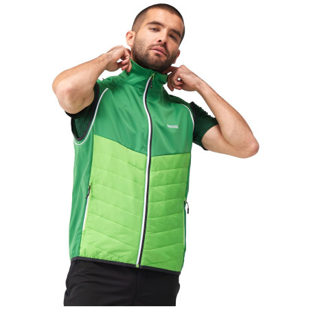 Чоловіча куртка Regatta Steren Hybrid