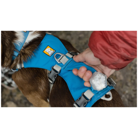 Шлея для собаки Ruffwear Flagline™ Harness