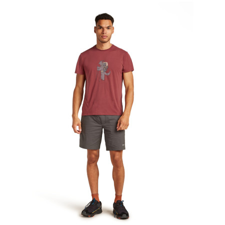 Чоловіча функціональна футболка Icebreaker M Mer Core SS Tee Tech Head