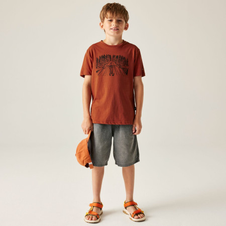 Дитяча футболка Dare 2b Trailbazer III Tee Arabian Spice