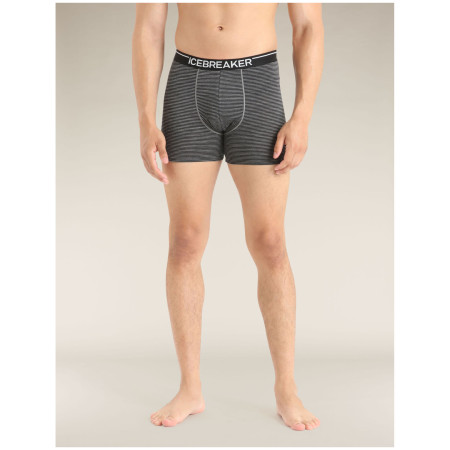 Чоловічі боксери Icebreaker Mens Anatomica Boxers
