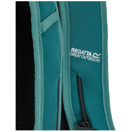 Рюкзак Regatta Prism 20L