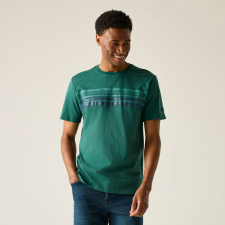 Чоловіча футболка Regatta Rendro