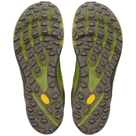 Чоловічі кросівки Altra Timp 6 GTX