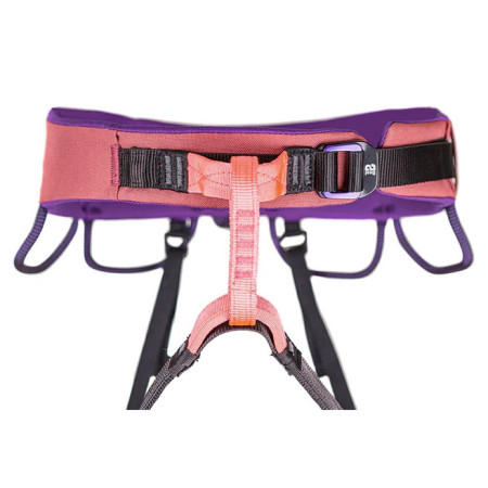 Система Beal Trinity