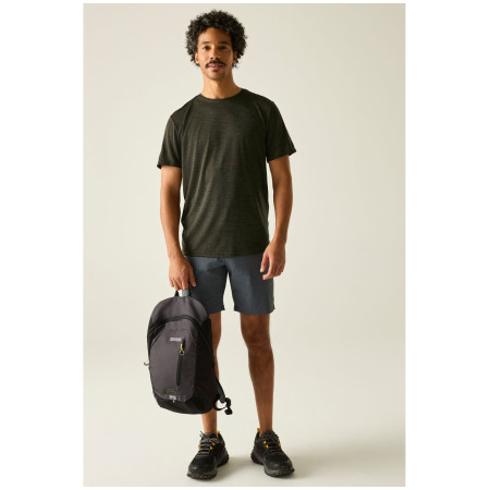 Чоловіча футболка Regatta Fingal Edition