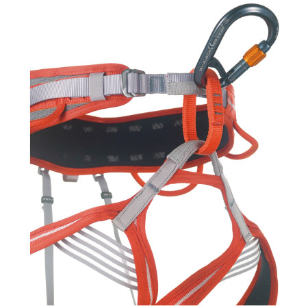 Карабін Camp Core Belay Lock