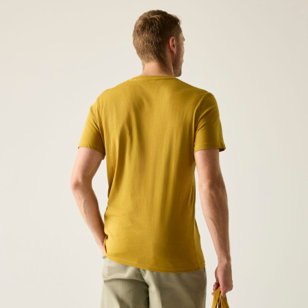 Чоловіча футболка Regatta Breezed