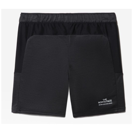 Чоловічі шорти The North Face Ma Fleece Short