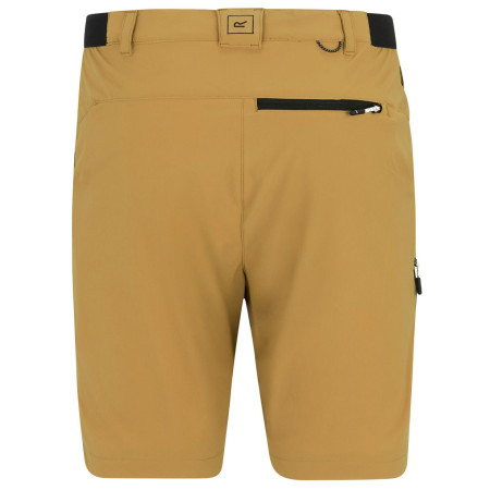Чоловічі шорти Regatta Anti-Insect Travel Light Shorts