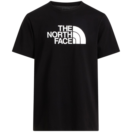 Чоловіча футболка The North Face Evolution Half Dome Regular Short Slee
