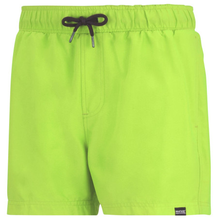 Плавки Regatta Mawson Swim Shorts III
