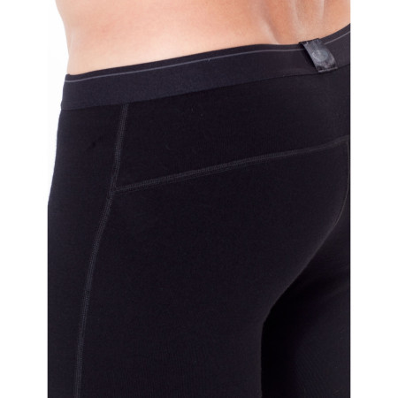 Pánské spodky Icebreaker Mens 260 Tech Leggings
