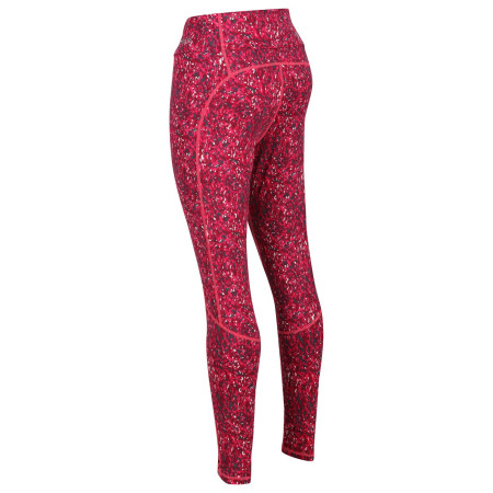 Жіночі легінси Regatta Holeen Legging II