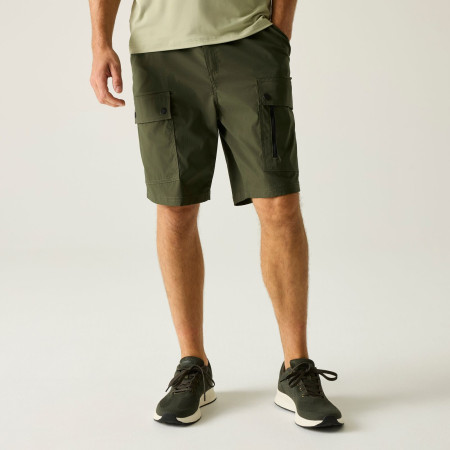 Чоловічі шорти Regatta Arlery Shorts