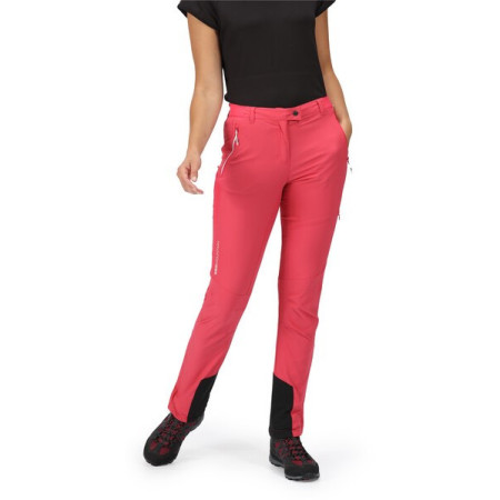 Жіночі штани Regatta Mountain Trs III