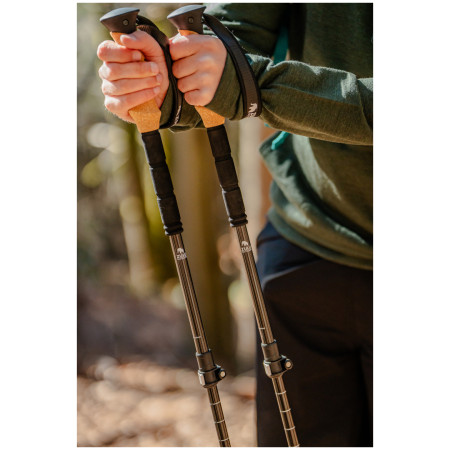 Трекінгові палиці Zulu Hiker Carbon Lock