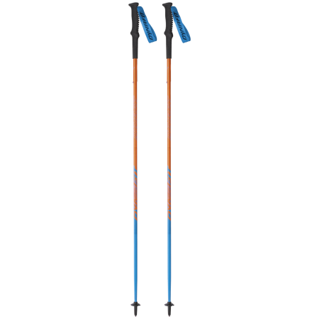 Палиці для скандинавської ходьби Dynafit Vertical Pole