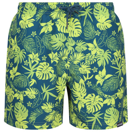 Чоловічі шорти Regatta Loras Swim Short m