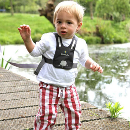 Дитячі віжки LittleLife Reins Grey