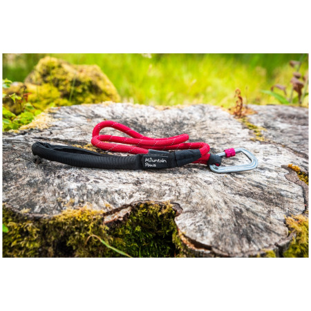 Повідець для собаки Mountain Paws Rope Dog Lead