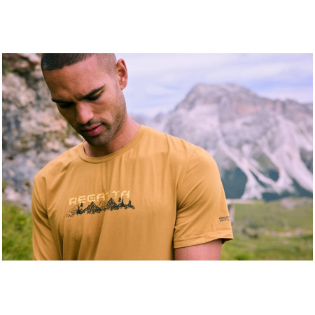 Чоловіча футболка Regatta Fingal Stretch