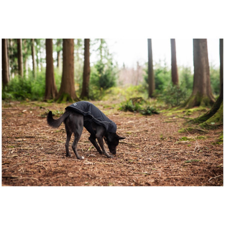 Дощовик для собаки Mountain Paws Fleece-Lined Dog Raincoat