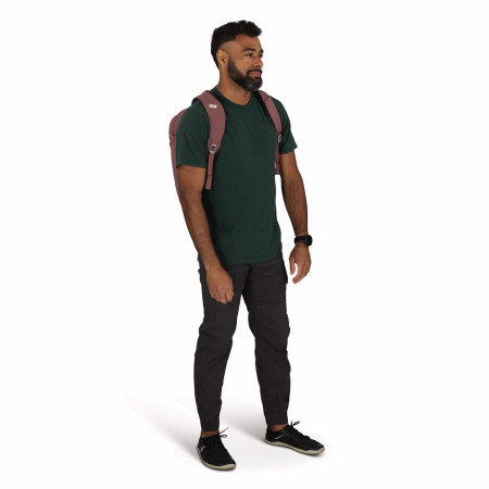 Рюкзак Osprey Arcane Extra Large Day