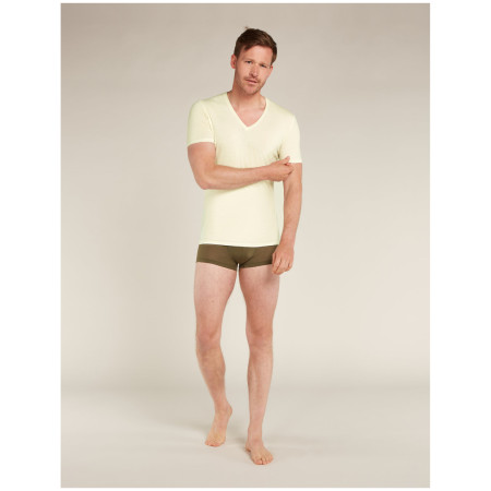 Чоловіча футболка Icebreaker Mens Anatomica SS V