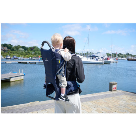 Переноска для дитини LittleLife Ranger S3 Child Carrier