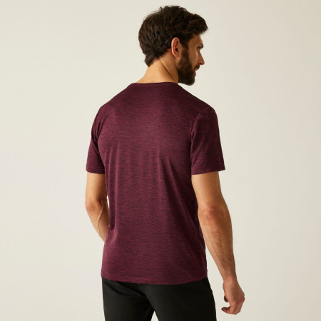 Чоловіча футболка Regatta Fingal Edition