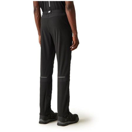 Чоловічі штани Regatta Mountain Trs III