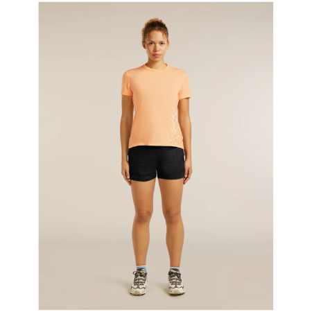 Жіноча функціональна футболка Icebreaker Merino Blend Core SS Tee Panax