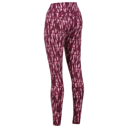 Жіночі легінси Regatta Holeen Legging II