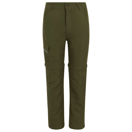 Дитячі штани Regatta Sorcer Z/O Trousers III Treetop зелений Treetop