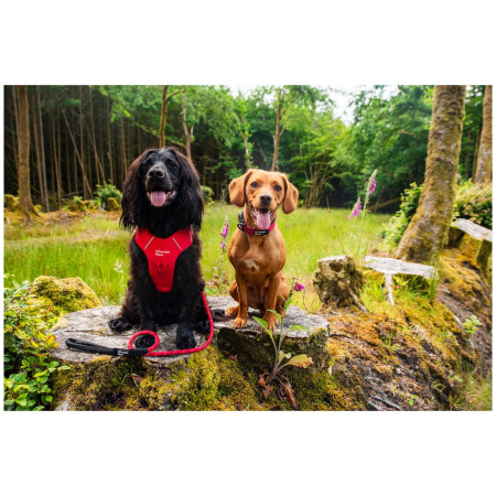 Повідець для собаки Mountain Paws Rope Dog Lead