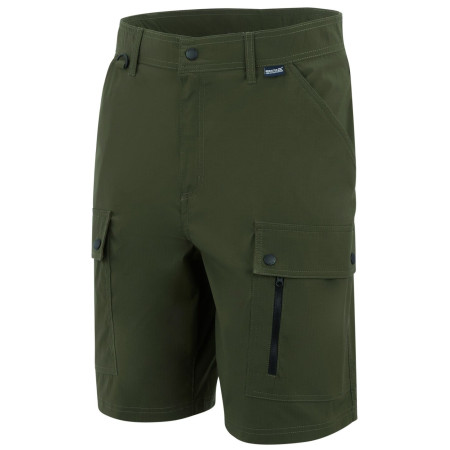 Чоловічі шорти Regatta Arlery Shorts