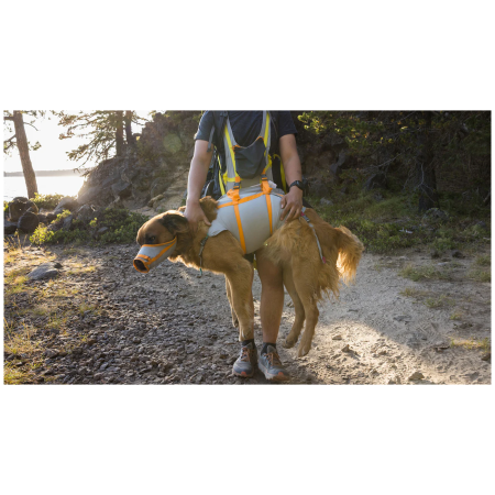 Шлейка для собаки Ruffwear BackTrak™ Dog Evacuation Kit