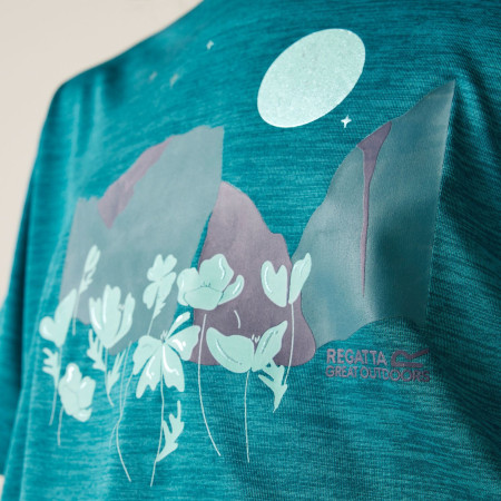 Дитяча футболка Regatta Alvarado IX