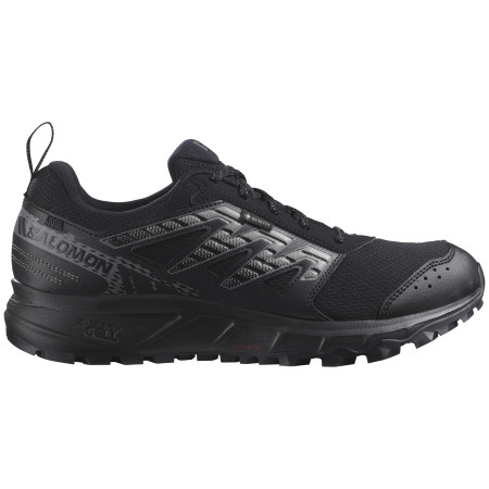 Чоловічі кросівки Salomon Wander Gore-Tex