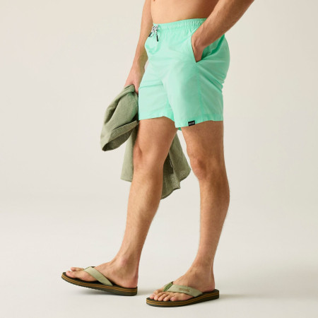 Чоловічі шорти Regatta Mackleyna Swim Short