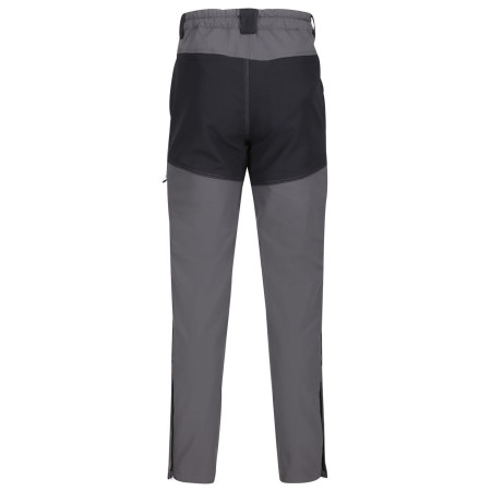 Чоловічі штани Regatta Questra IV