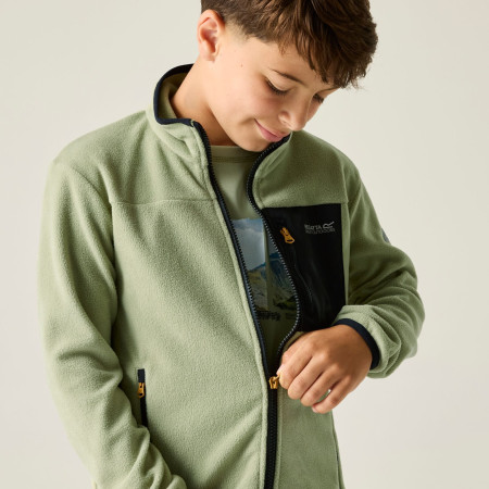 Дитяча толстовка Regatta Junior Frankie F/Z Light Sage