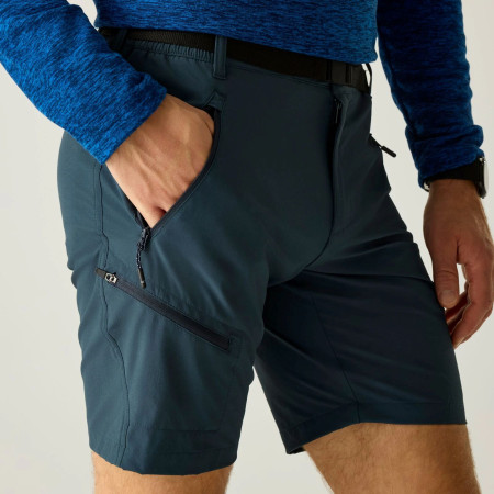 Чоловічі шорти Regatta Xert Stretch Shorts
