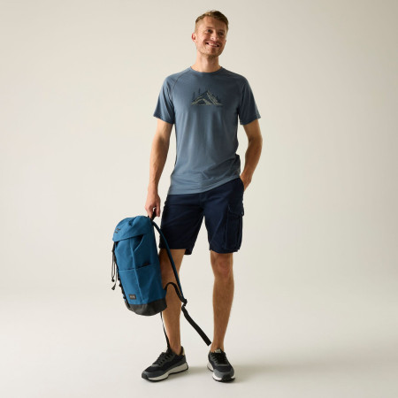 Чоловічі шорти Regatta Bendrick Shorts