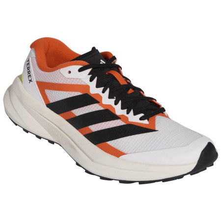 Жіночі кросівки Adidas Terrex Agravic Lite