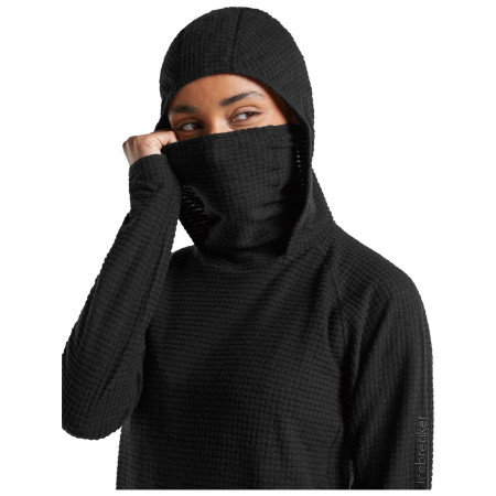 Жіноча толстовка Icebreaker Wom Mer 400 RealFleece Grid Pulover Hood